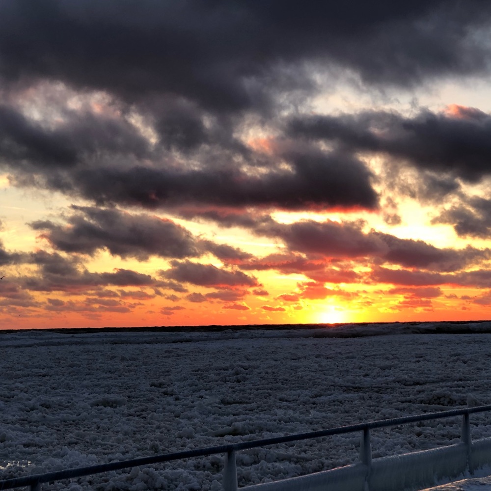 Meet your Posher, Carolina